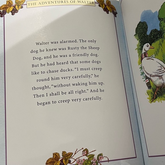 Blackberry Farm THE ADVENTURES OF WALTER Jane Pilgrim book - Picture 4 of 5